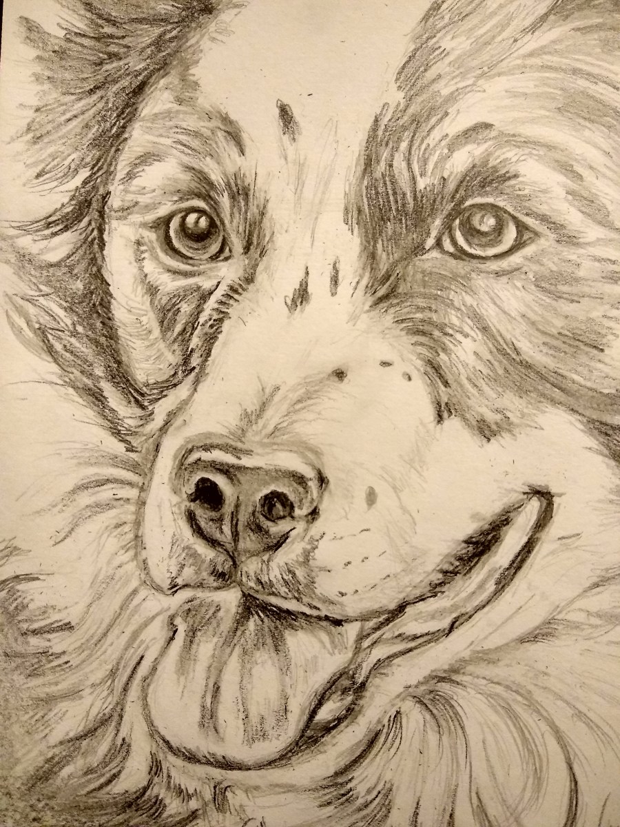 Pastels and Drawings