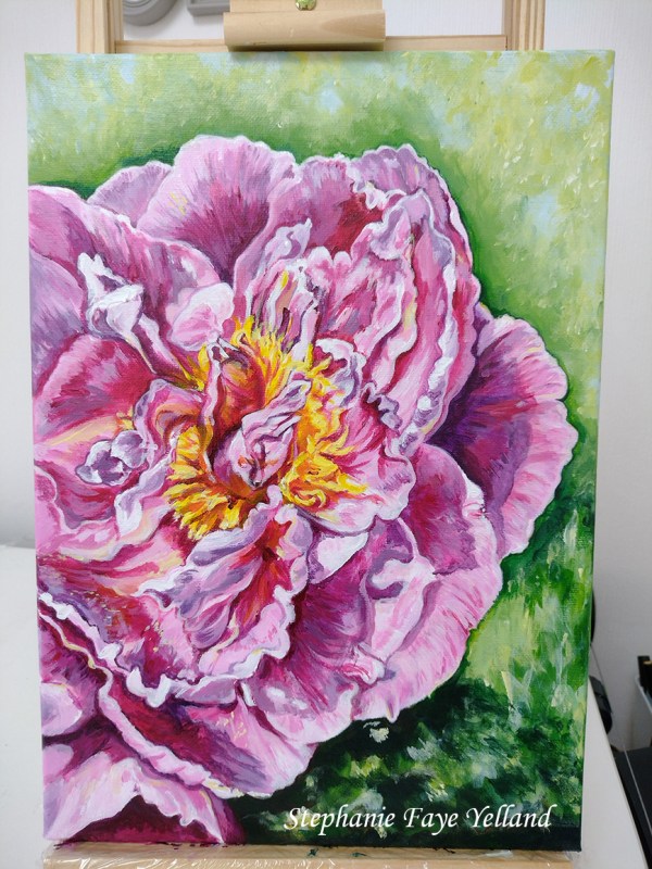 Peony Bloom